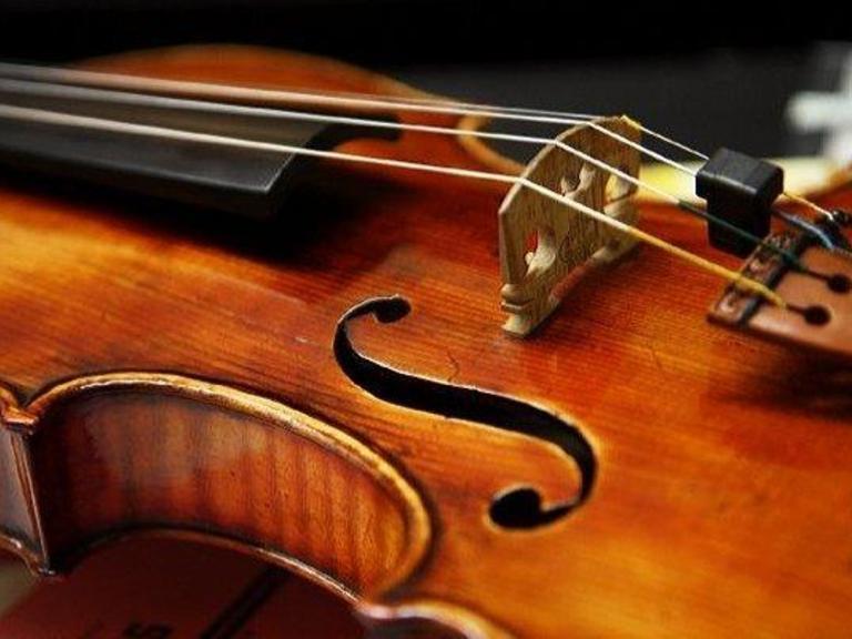 Violino-2